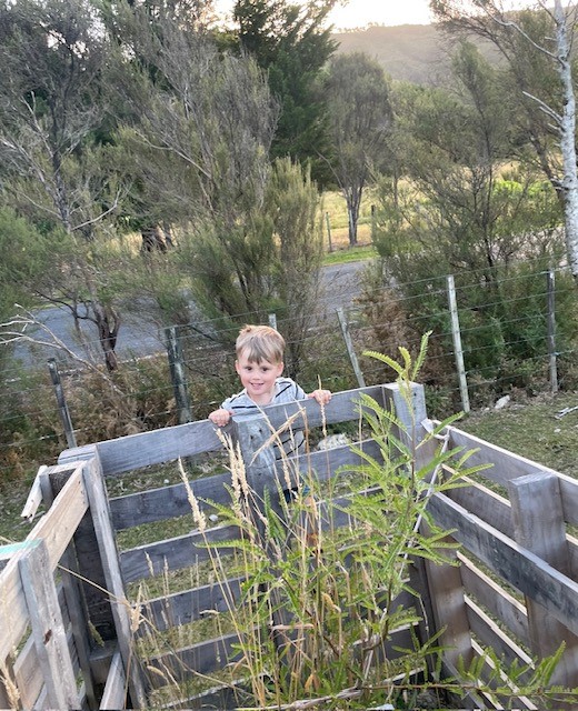 Pic of boy with kowhai seedling
