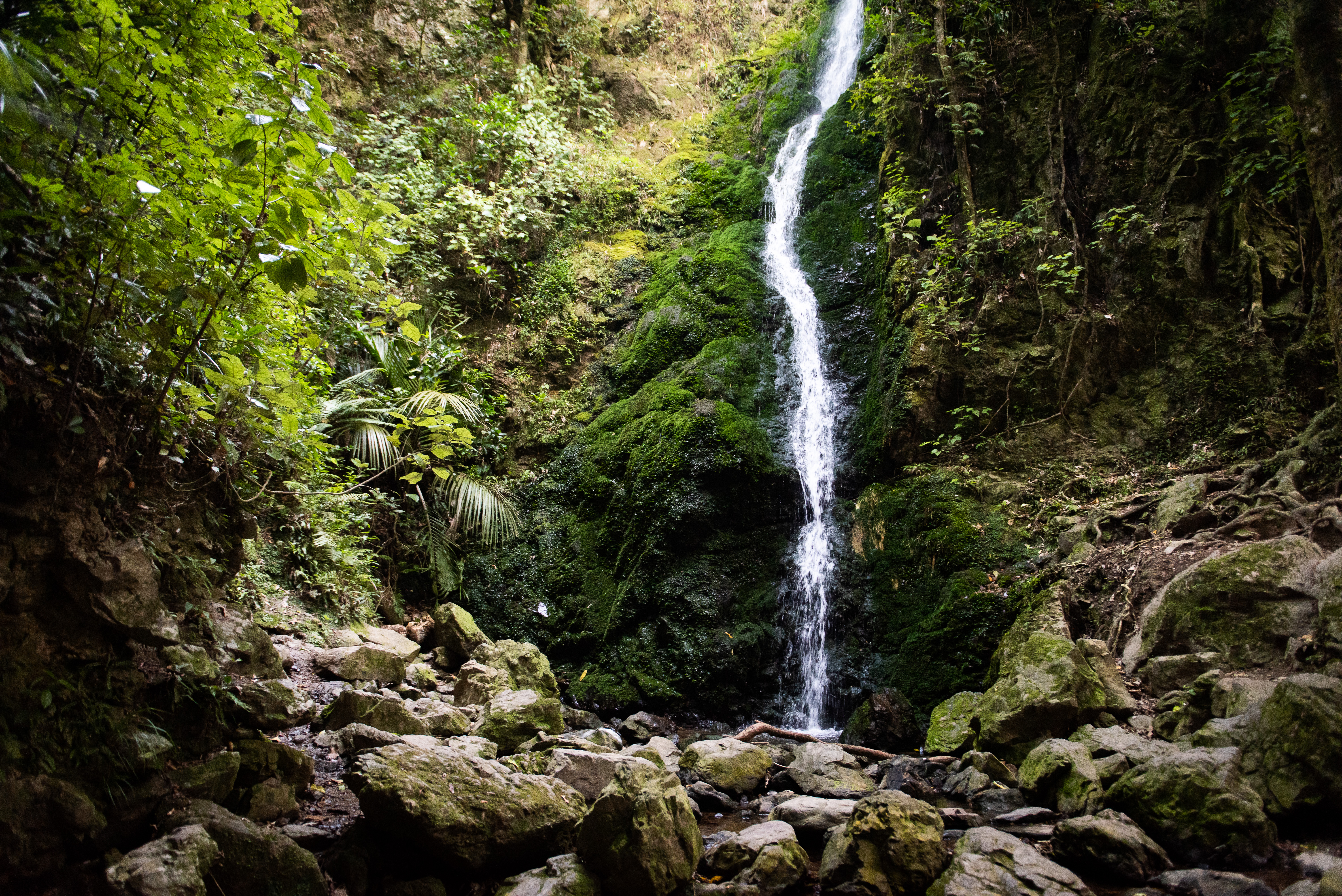 Waterfall Track