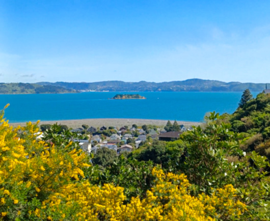 Kowhai Street Track